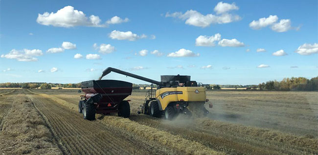 local-farms-compost