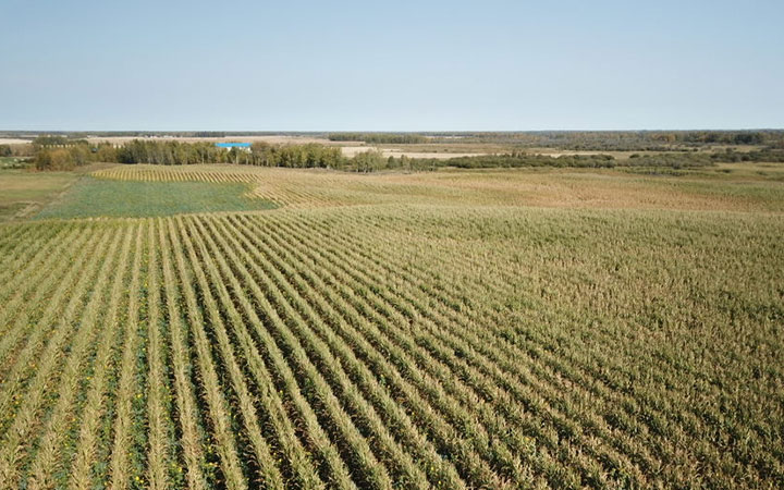 Schacker's-West-2025